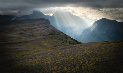shafts of light on Parker Ridge, Banff Canada