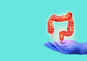 Large intestine. Isolated. hand of doctor with emerald green background. Colon cancer, bacteria,...