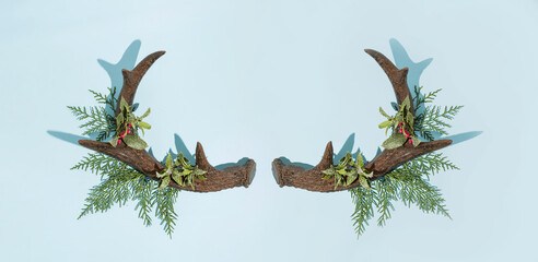 Horn of deer isolated and decorated with winter pine tree. Flat lay