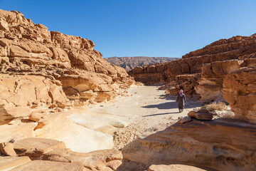 Sinai peninsula, Egypt - 30 January 2022: Unrecognizable Bedouin walking in a canyon, bizarre rock...