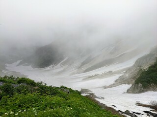Overlooking Daisekkei, the large snowy valley with fog of Mt. Shirouma in July. Hakuba Village, Nagano Prefecture, Japan
