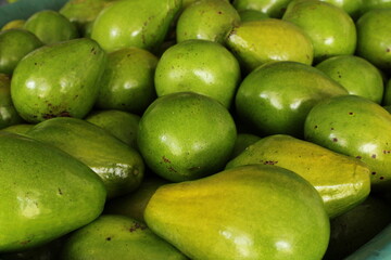 Cultivo y cosecha de aguacates en la región Orinoquía de Colombia, diversidad de árboles de aguacate, tipos de hoja del cultivo proceso de siembre y características de algunas plagas.