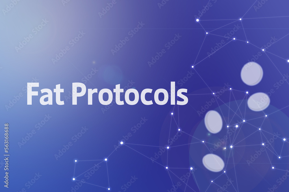 Poster title image of the word fat protocols. it is a web3 related term.