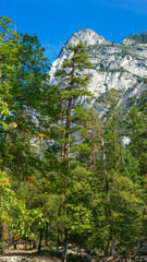 Yosemite National Park in California’s Sierra Nevada mountains, California, USA
