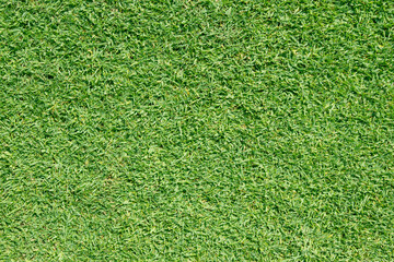 Obraz premium green grass texture for top view photo background