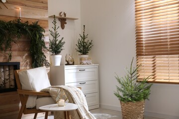 Beautiful room decorated for Christmas with potted firs. Interior design