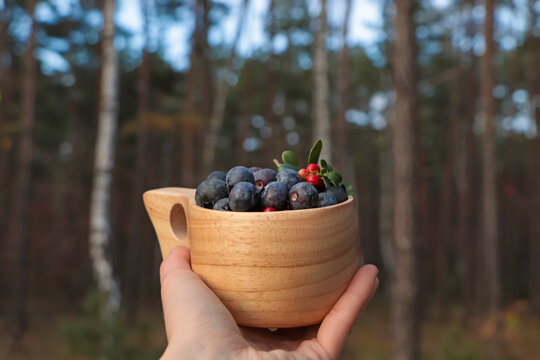 Woman Holding Wooden Mug Full Of Fresh Ripe Blueberries And Lingonberries In Forest, Closeup