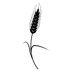 wheat vector, icon, symbol, logo, clipart, isolated. vector illustration. vector illustration isolated on white background.