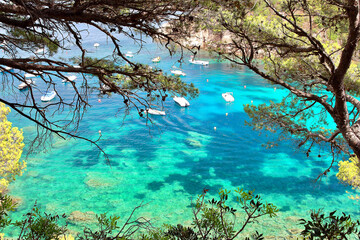 Crystal waters close to the beautiful beach of Aiguablava in Begur village, Mediterranean sea, Catalonia, Spain.