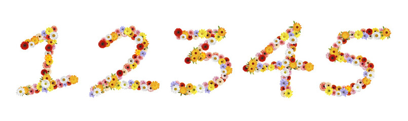 Set with numbers made of beautiful flowers on white background