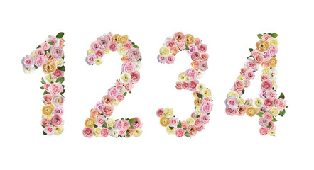 Set with numbers made of beautiful rose flowers on white background