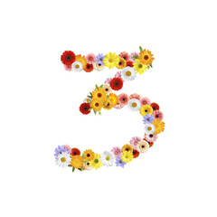 Number 3 made of beautiful flowers on white background