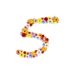 Number 5 made of beautiful flowers on white background
