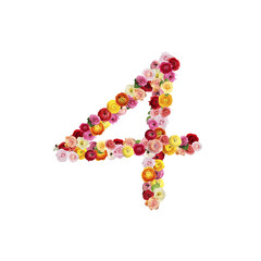 Number 4 made of beautiful flowers on white background