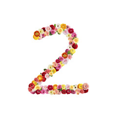 Number 2 made of beautiful flowers on white background