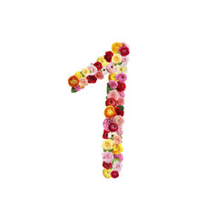 Number 1 made of beautiful flowers on white background