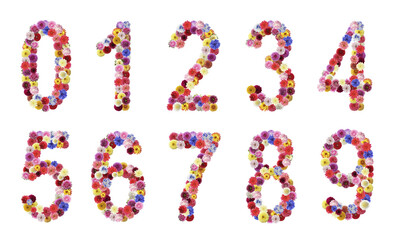 Collage with numbers made of beautiful flowers on white background