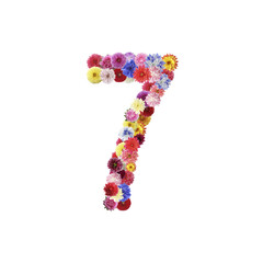 Number 7 made of beautiful flowers on white background