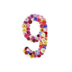 Number 9 made of beautiful flowers on white background