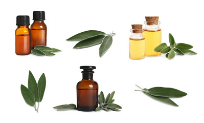 Set with bottles of essential sage oil and leaves on white background