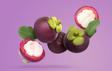 Many ripe mangosteen fruits and leaves falling on violet background