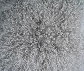 Closeup gray fluffy mohair texture