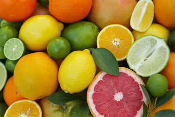 Fototapeta na wymiar Different fresh citrus fruits and leaves as background, top view.