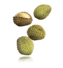 Many ripe durian fruits falling on white background