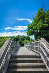 Outdoor walking path wooden bridge, native trees, Blue sky, Waterview, Auckland