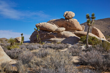 Giant raw rocks stacked along faults from earthquakes with Joshua trees in the California desert
