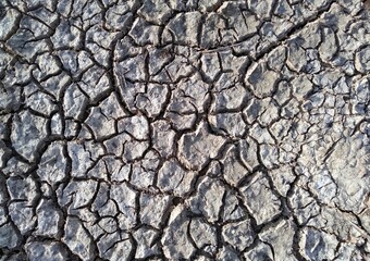 clay soil that has cracked due to drought