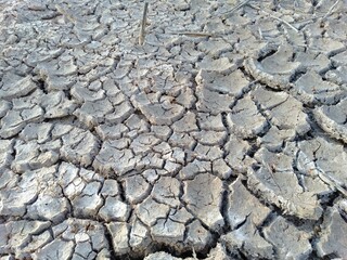 dry cracked earth