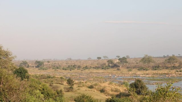 Lush African River Tilt Down From Sky