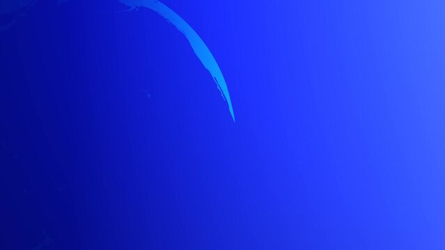 Loop Earth rotating 360&deg; on a blue background. Concept: TV News, Business and Finance, Screensaver, Science