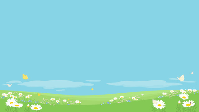 Spring background with copy space. Vector illustration of field flowers and butterflies against blue sky.