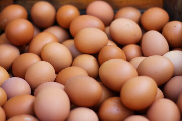fresh eggs for sale at a market