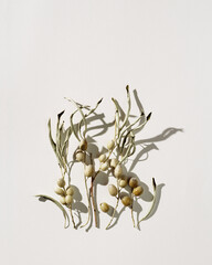 Autumn leaves and berries of Oleaster or wild olive tree. Nature still life, minimal monochrome aesthetic flat lay with branches and foliage, white gray background, hard shadows, top view