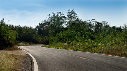 Fototapeta premium Traffic path of the asphalt road curves long ahead. Beside with green grass and trees under the blue sky.