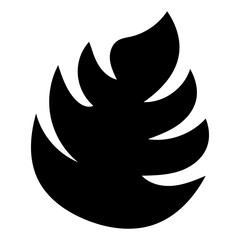 illustration of a leaf