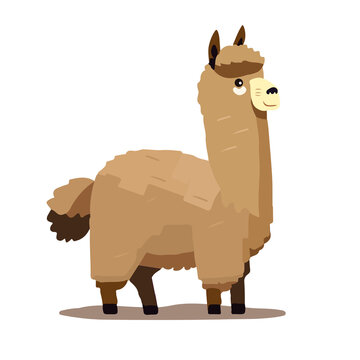 Ilustraci&oacute;n sin fondo de llama o alpaca divertida para cuentos infantiles