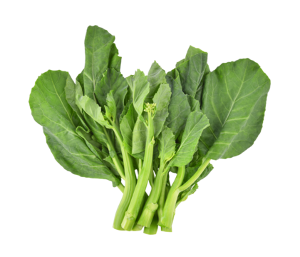 Chinese kale or Kailan or Hong Kong kale isolated on transparent background. PNG