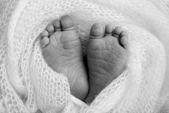 Close-up of tiny, cute, bare toes, heels and feet of a newborn girl, boy. Baby foot on soft coverlet, blanket. Detail of a newborn baby legs.Macro horizontal professional studio photo. Black and white