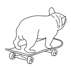 dog running on a skateboard