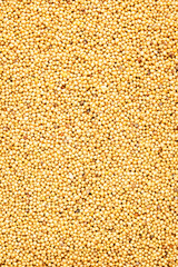White mustard grains, dry spice, food background texture, top view