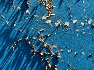 background broken wall with leaf