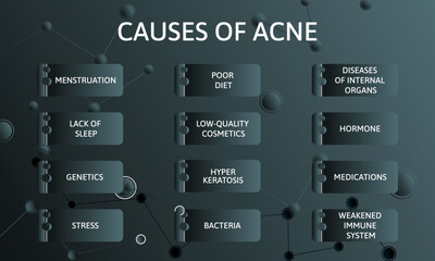 Fototapeta premium Causes of acne. Vector illustration for medical journal or brochure.
