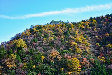 colorful mountain