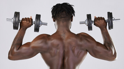 Naklejka na ściany i meble Dumbbell, strong muscle and fitness of a black man doing power workout in studio. Back of sexy bodybuilder person doing exercise or training with weights for health, wellness and body growth progress