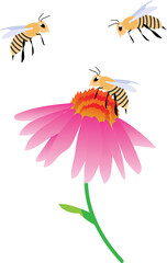 bee and flower vector image