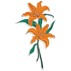 Line Art Flower Abstract